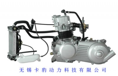 320CC snowmobile Engine (Direct factory)