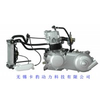 320CC snowmobile Engine (Direct factory)